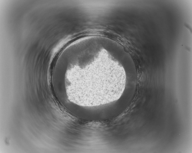 X0000102020294200808151322