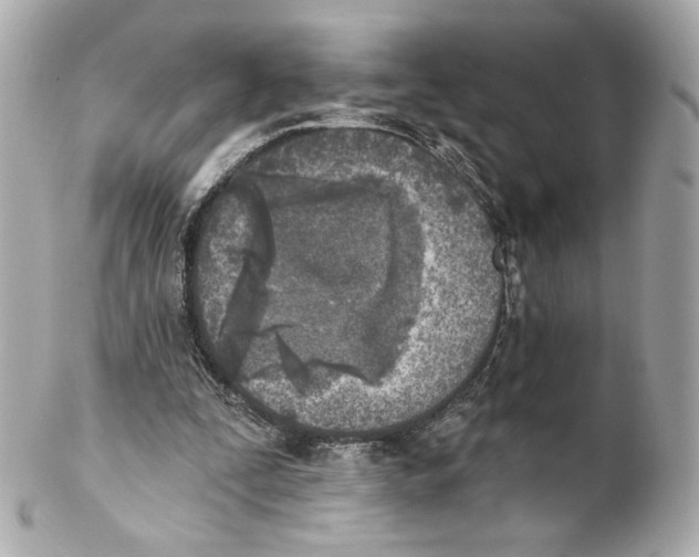 X0000102020295200808151322