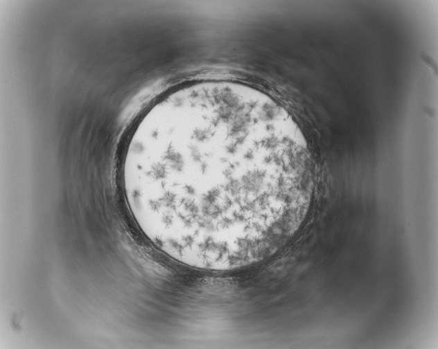 X0000102020296200808151322