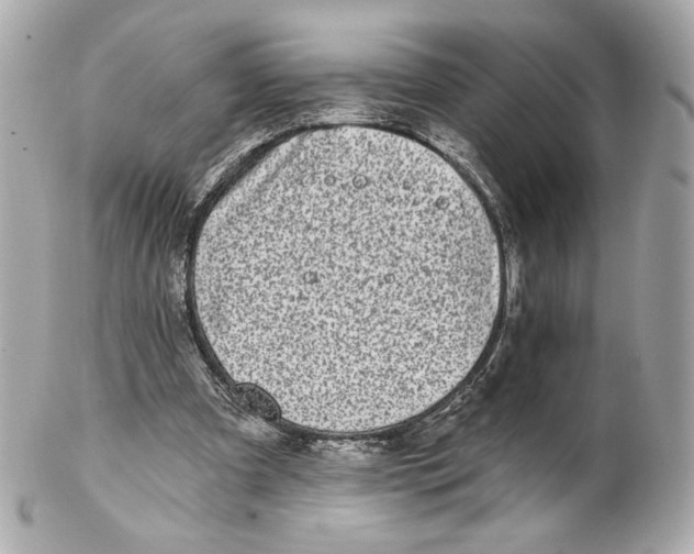 X0000102020297200808151322