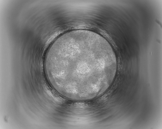 X0000102020298200808151322