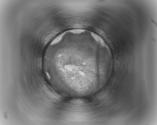 X0000102020299200808151322