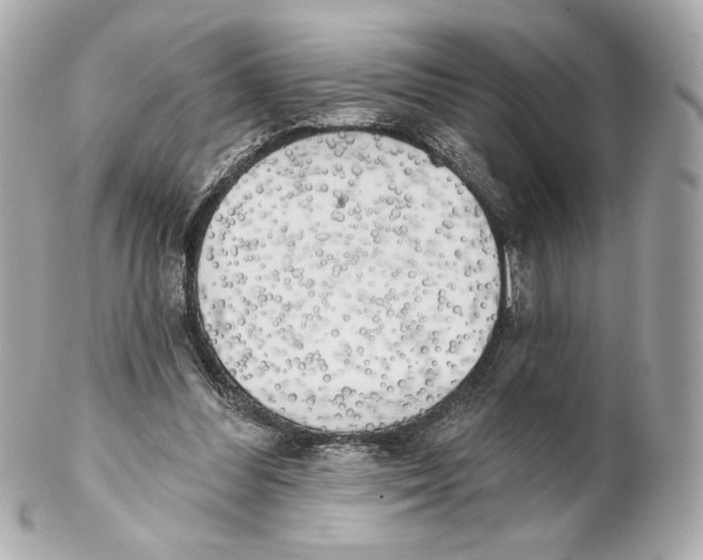 X0000102020300200808151322