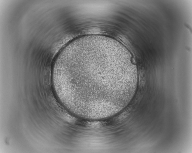 X0000102020301200808151322