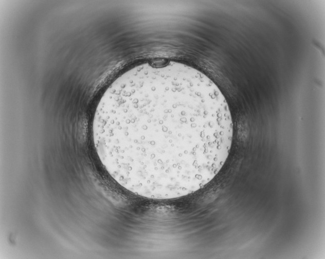 X0000102020304200808151322