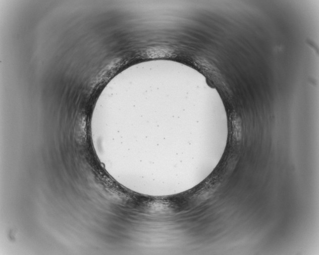 X0000102020308200808151321