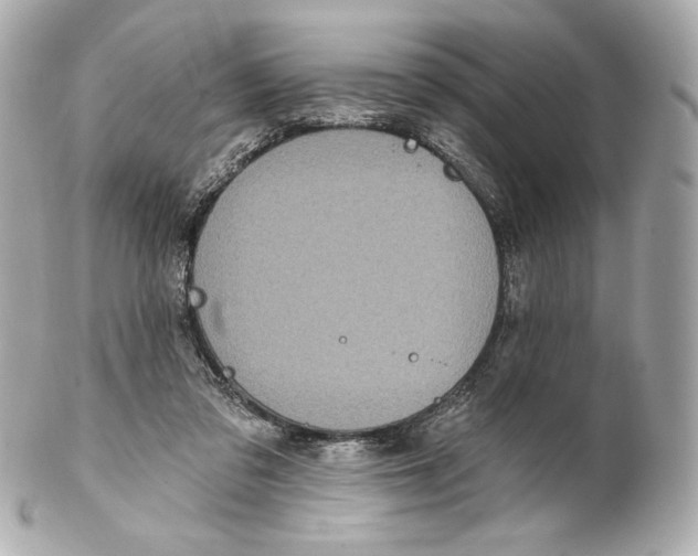 X0000102020309200808151321