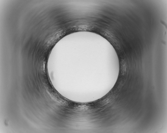 X0000102020310200808151321
