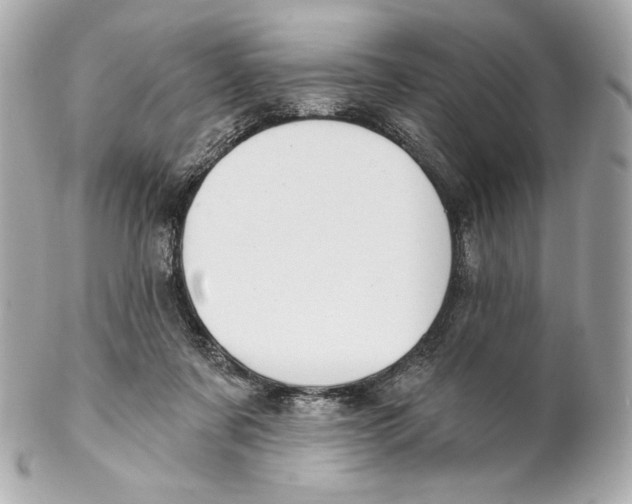 X0000102020311200808151321