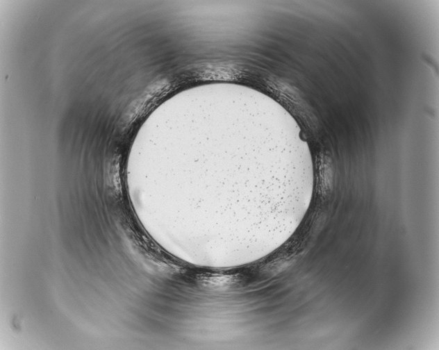 X0000102020312200808151321