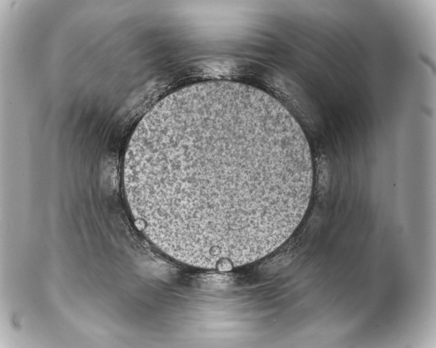 X0000102020313200808151321