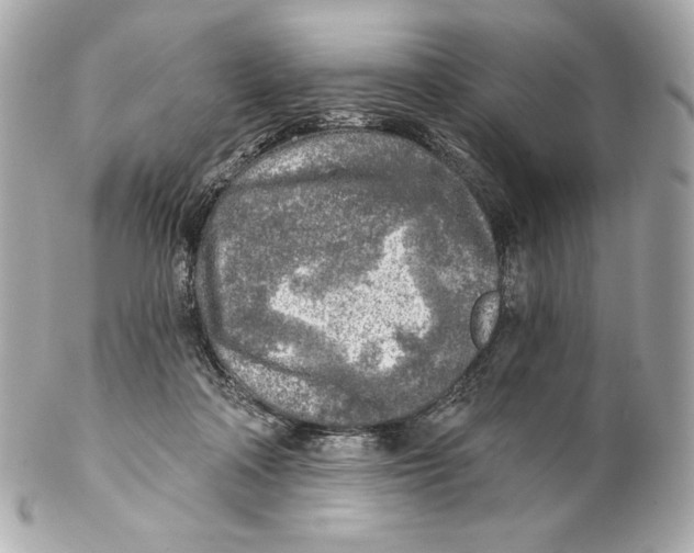 X0000102020314200808151321