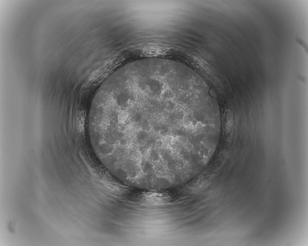 X0000102020315200808151321