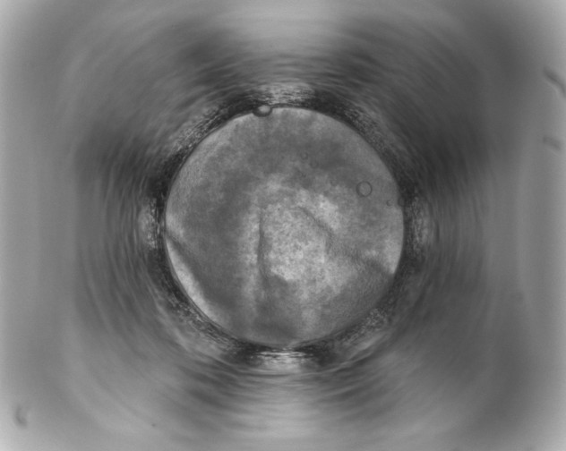 X0000102020316200808151321
