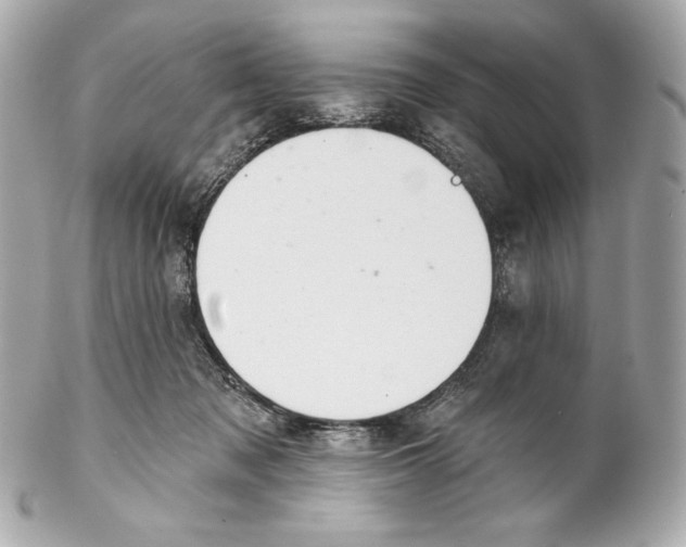 X0000102020317200808151321