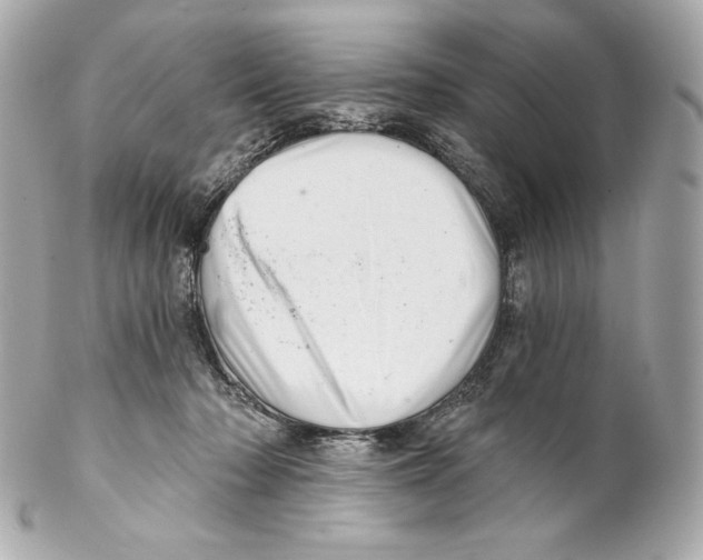 X0000102020318200808151321