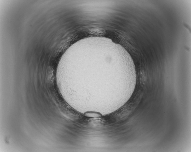 X0000102020320200808151321
