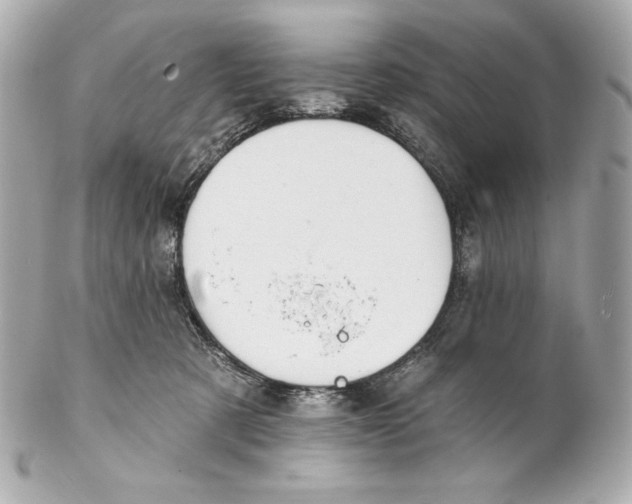 X0000102020321200808151321