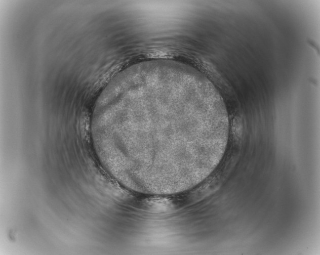 X0000102020322200808151321