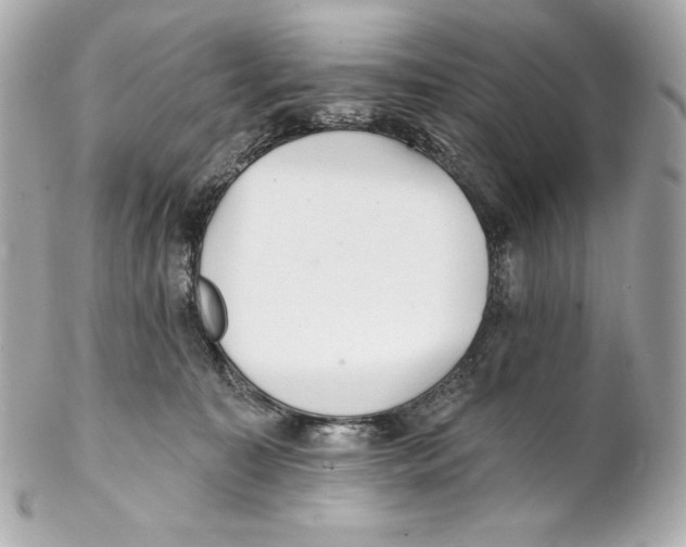X0000102020323200808151321