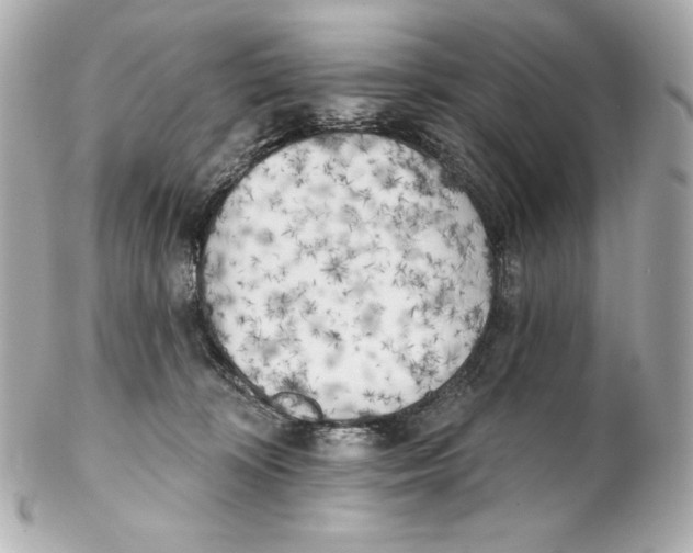 X0000102020324200808151321