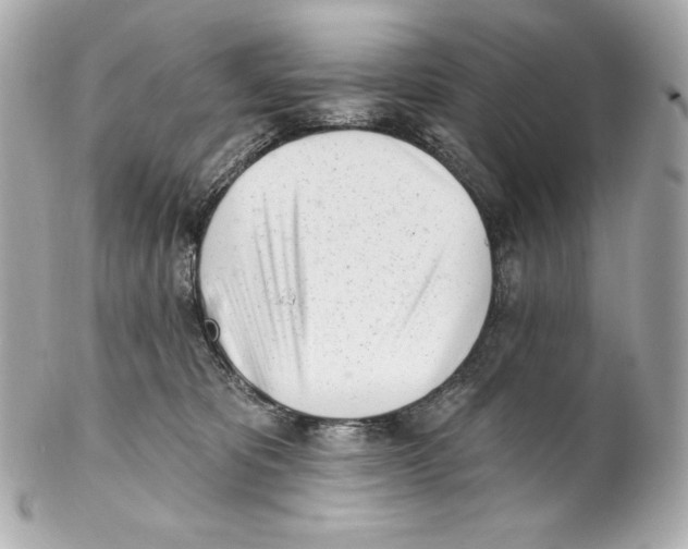 X0000102020325200808151321
