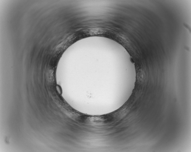 X0000102020327200808151321