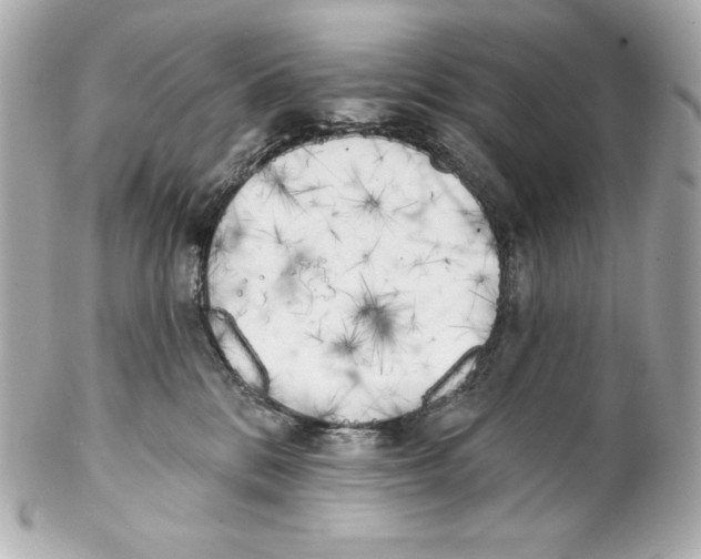 X0000102020328200808151321