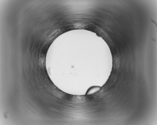 X0000102020329200808151321