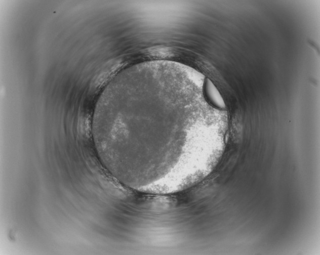X0000102020330200808151321