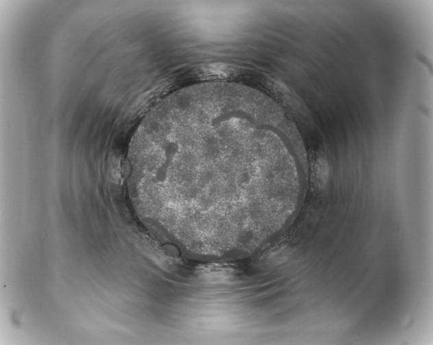 X0000102020331200808151321