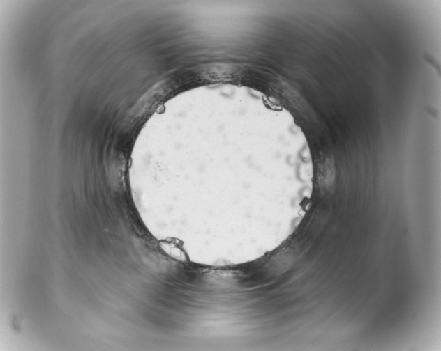 X0000102020332200808151321
