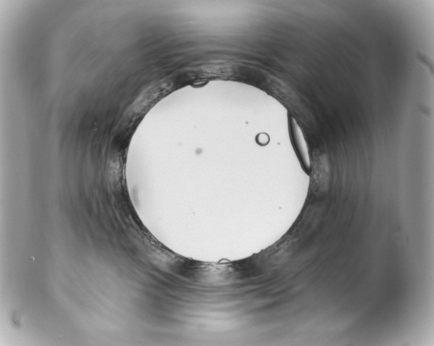 X0000102020333200808151321