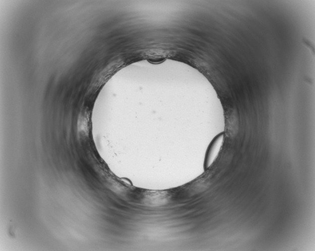 X0000102020334200808151321
