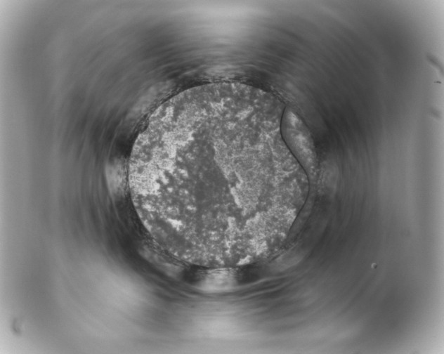 X0000102020335200808151321