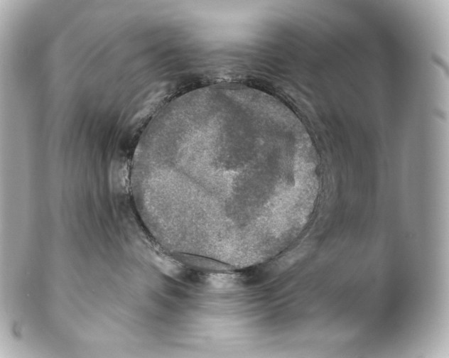 X0000102020336200808151321