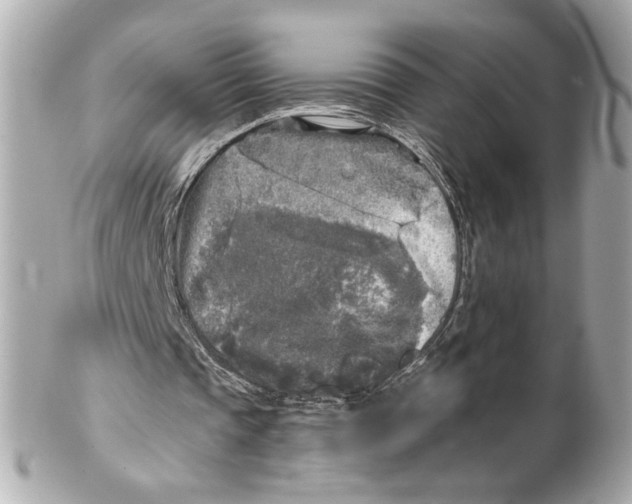 X0000102020337200808151320