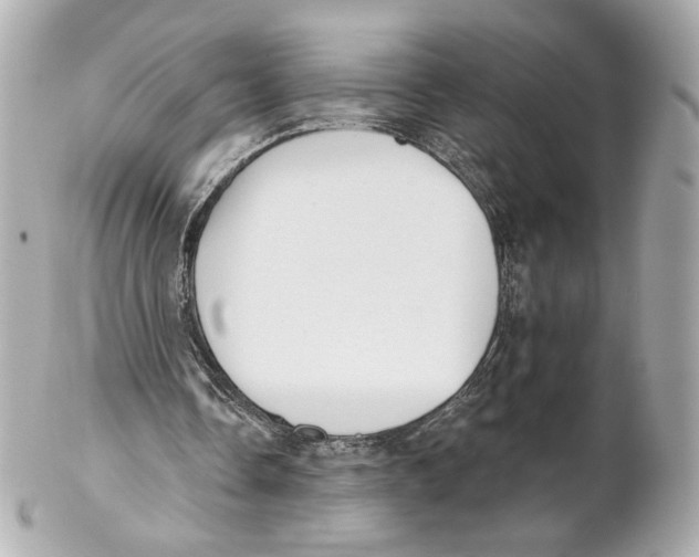 X0000102020338200808151320