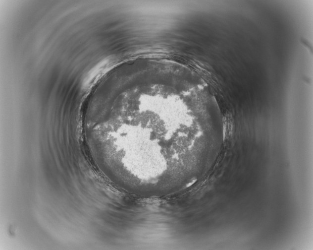 X0000102020339200808151320