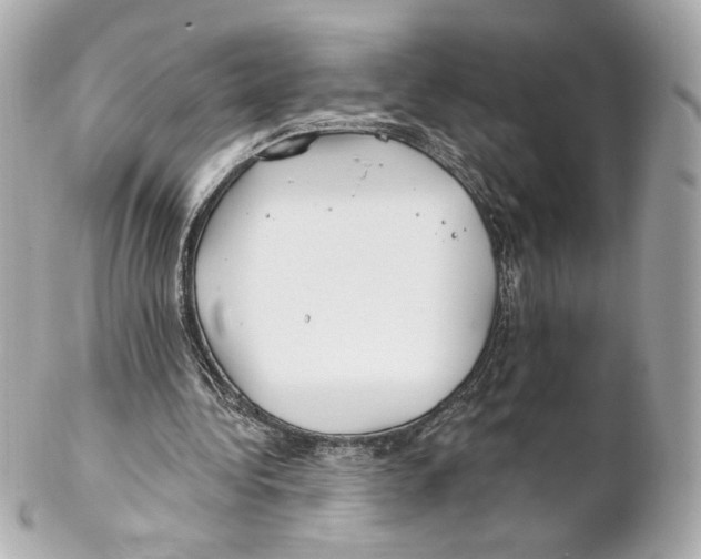 X0000102020340200808151320