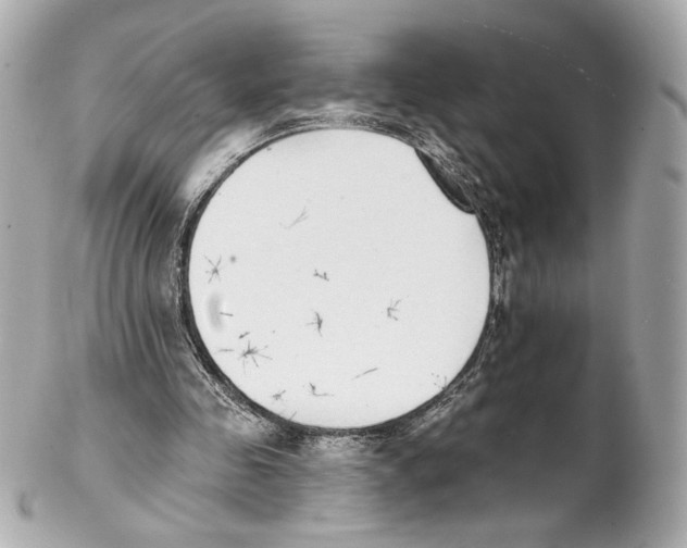 X0000102020341200808151320