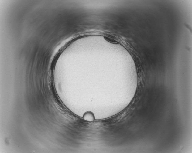X0000102020342200808151320
