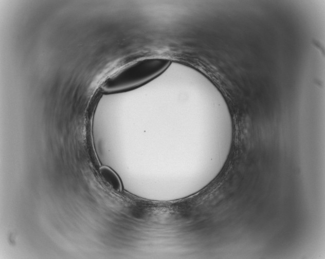 X0000102020344200808151321