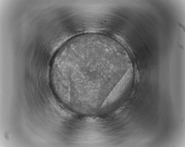 X0000102020346200808151321