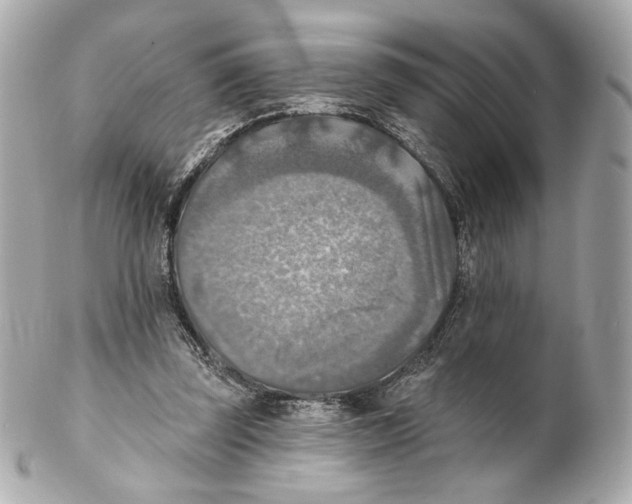 X0000102020347200808151321