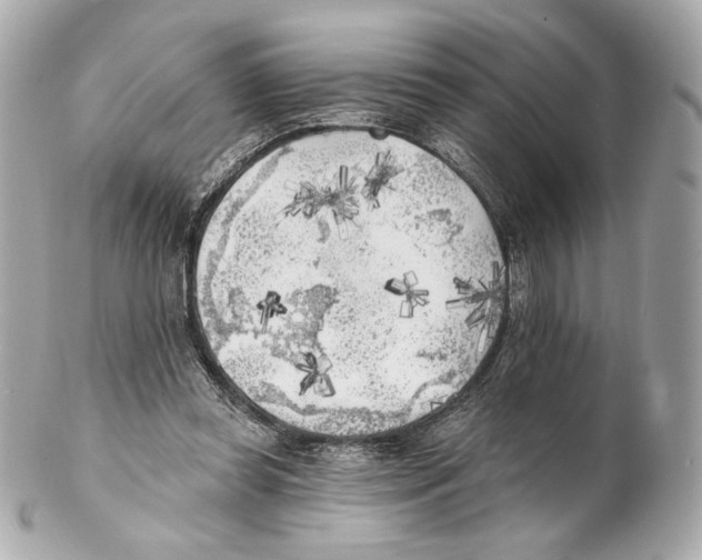 X0000102020349200808151321
