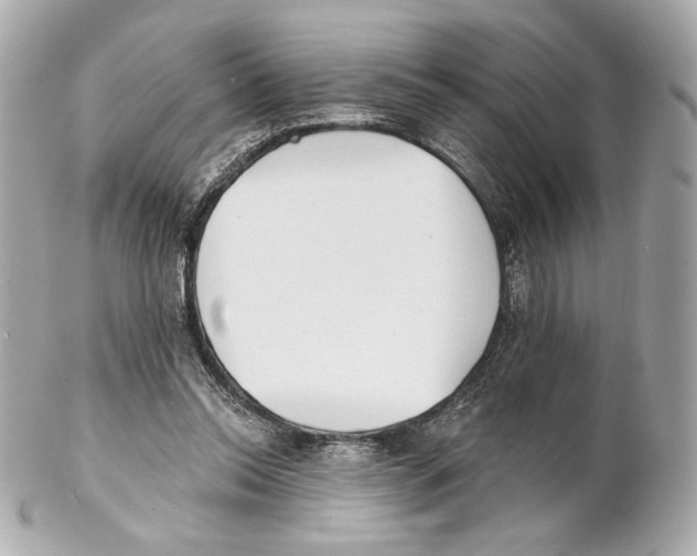 X0000102020350200808151321