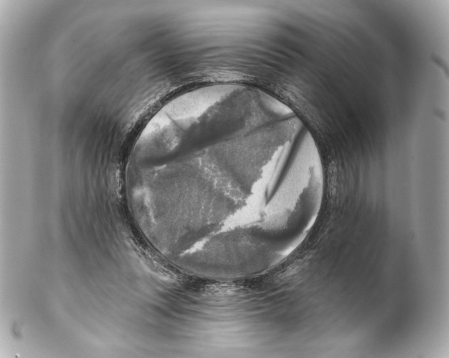 X0000102020351200808151321