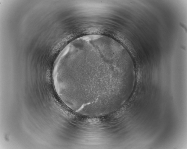 X0000102020353200808151321