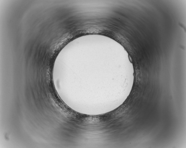 X0000102020354200808151321
